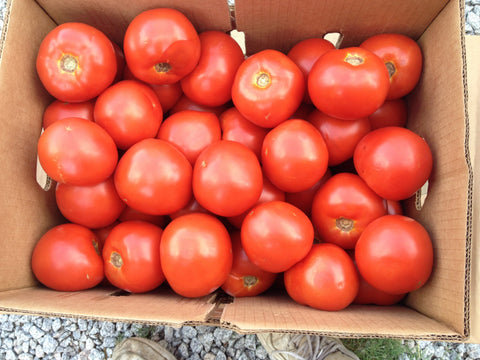 Summer Bi-weekly Vegetable bag