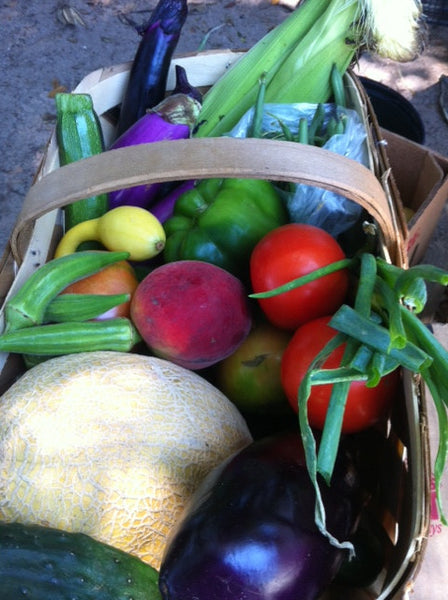 Legare Farms Inc photo 16