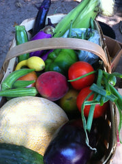 Legare Farms Inc photo 21